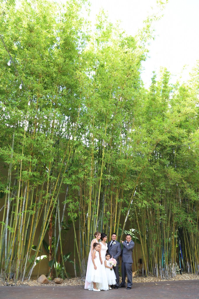 2014-07-12-Leonor-and-Margarito-Summer-Mexican-Wedding-Fiesta-at-NOVA-535-downtown-StPete (1)