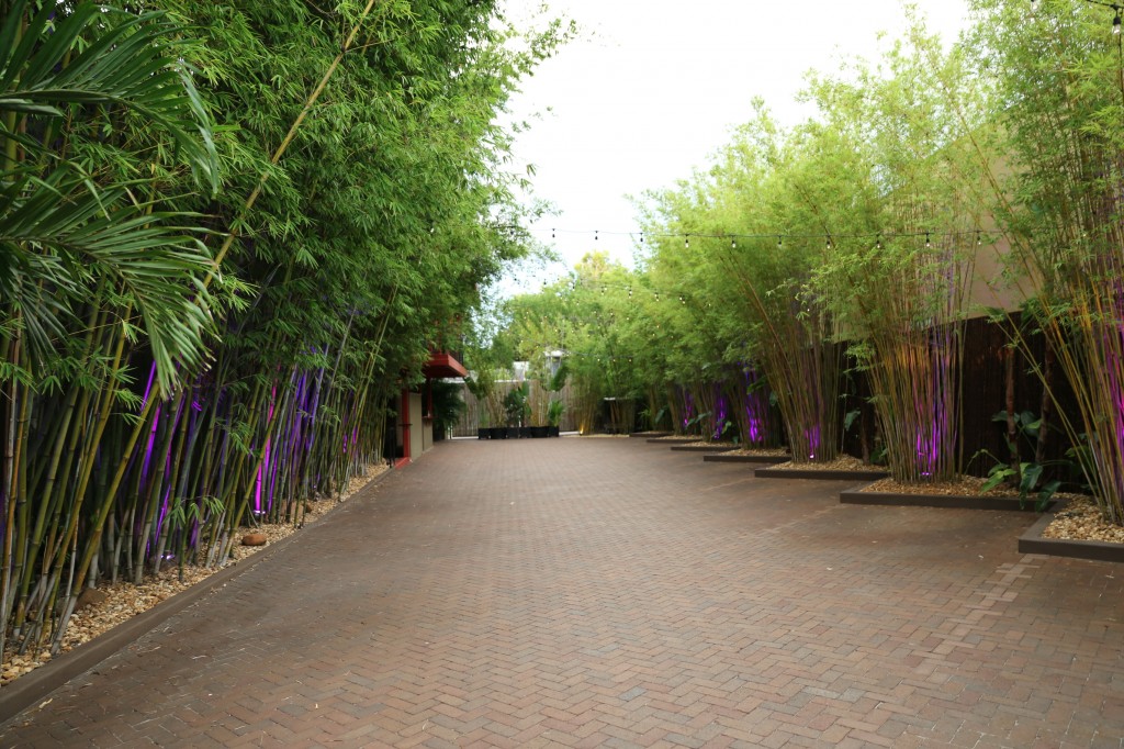 2014-07-12-Leonor-and-Margarito-Summer-Mexican-Wedding-Fiesta-at-NOVA-535-downtown-StPete (11)