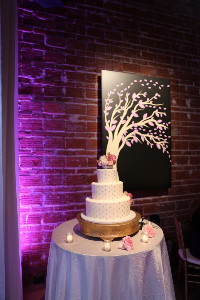 2014-07-12-Leonor-and-Margarito-Summer-Mexican-Wedding-Fiesta-at-NOVA-535-downtown-StPete (16)