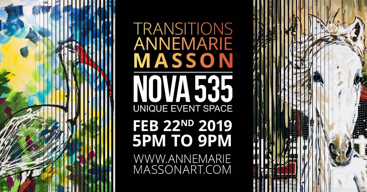 2019 02-22 Transitions AnneMarie Masson Art Show at historic Downtown St. Pete venue NOVA 535